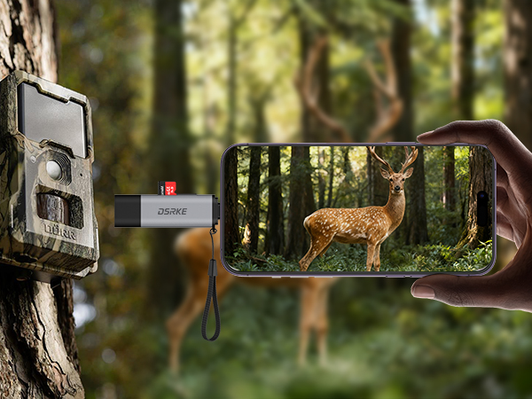 Text reads 'Image 6'. Trail camera mounted to tree and smartphone displaying deer in forest scene, demonstrating wildlife photography setup.