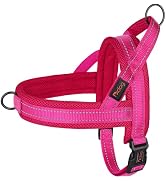 Didog No Pull Dog Harness with Soft Mesh Padded,Reflective &amp; Quick Fit Light Weight Dog Strap Ves...