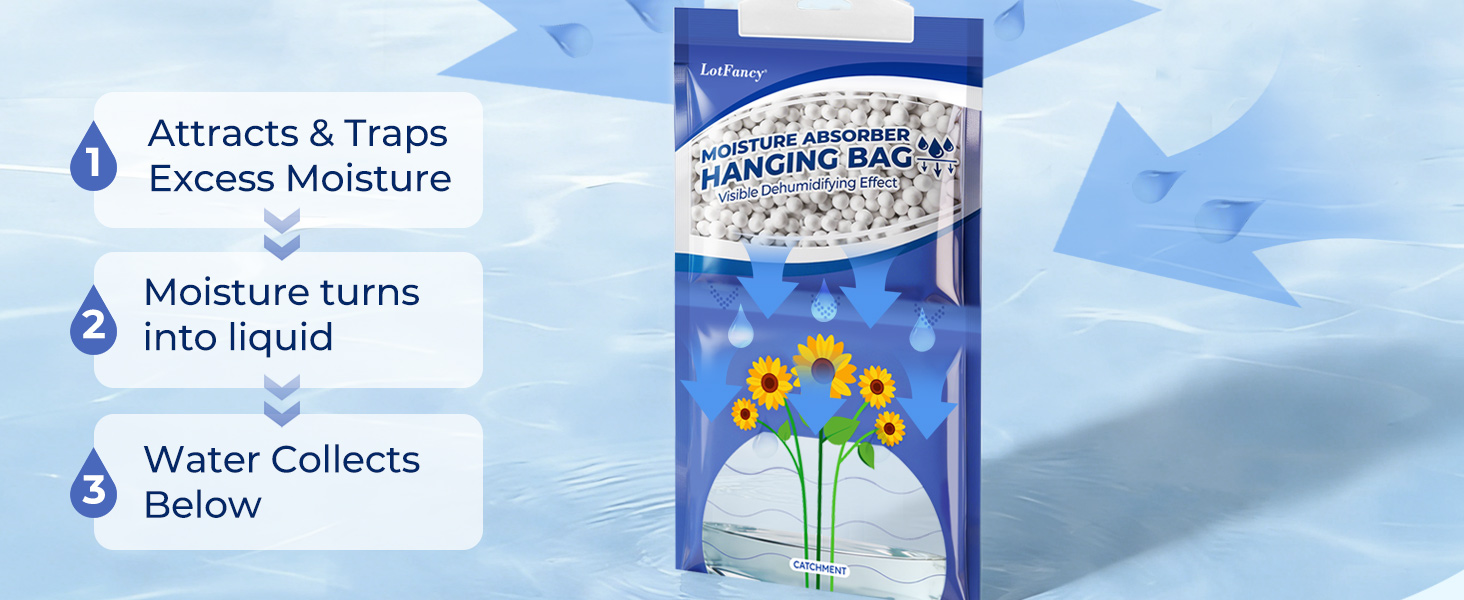closet dehumidifier hanger