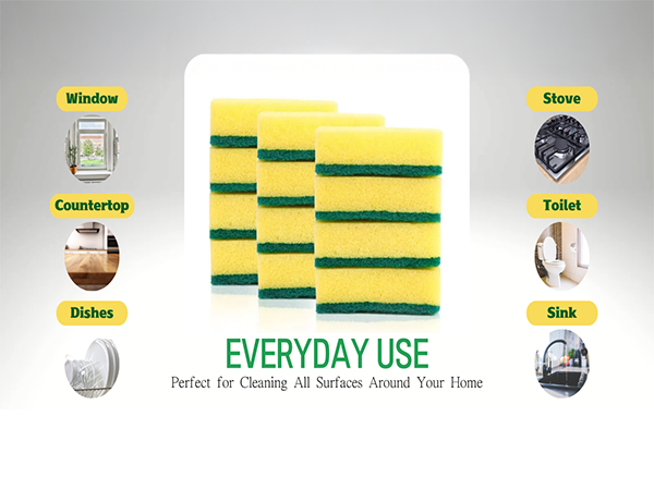 sponge everyday use