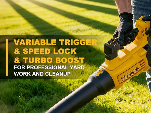 dewalt blower