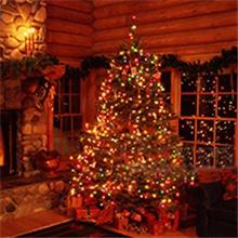 66ft Christmas string lights with 200 multicolor