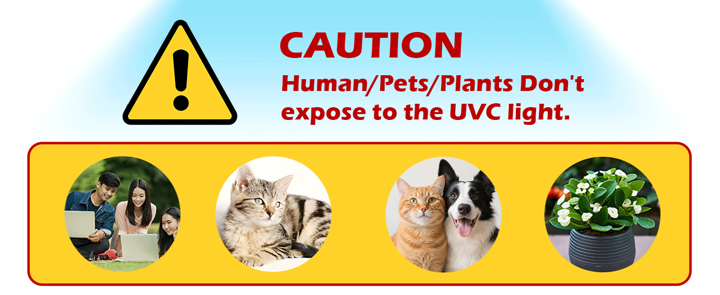 6W UV Light