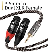 3.5mm to Dual XLR Female