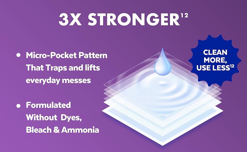 hand sanitizer wipes antibacterial wipes bleach wipes pet wipes car wipes lysol spray disinfectant