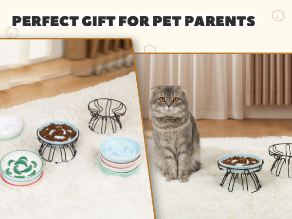 raised cat food bowl