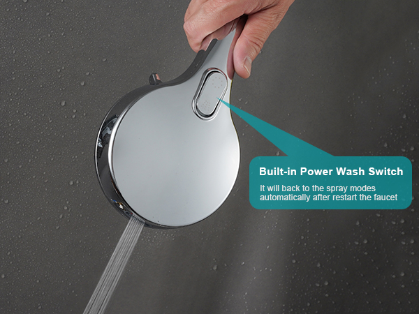 Handheld Shower Head with Built-in Power Spray