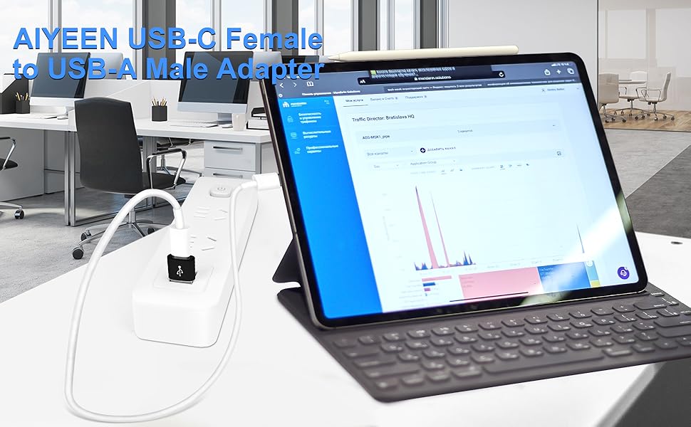 AIYEEN USB-C Female to USB-A Male Adapter