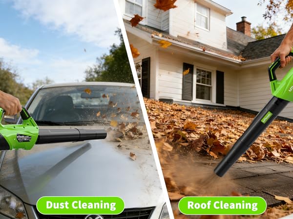 Dust Cleaning