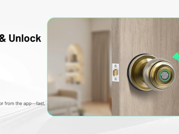 Fingerprint Smart Door Lock