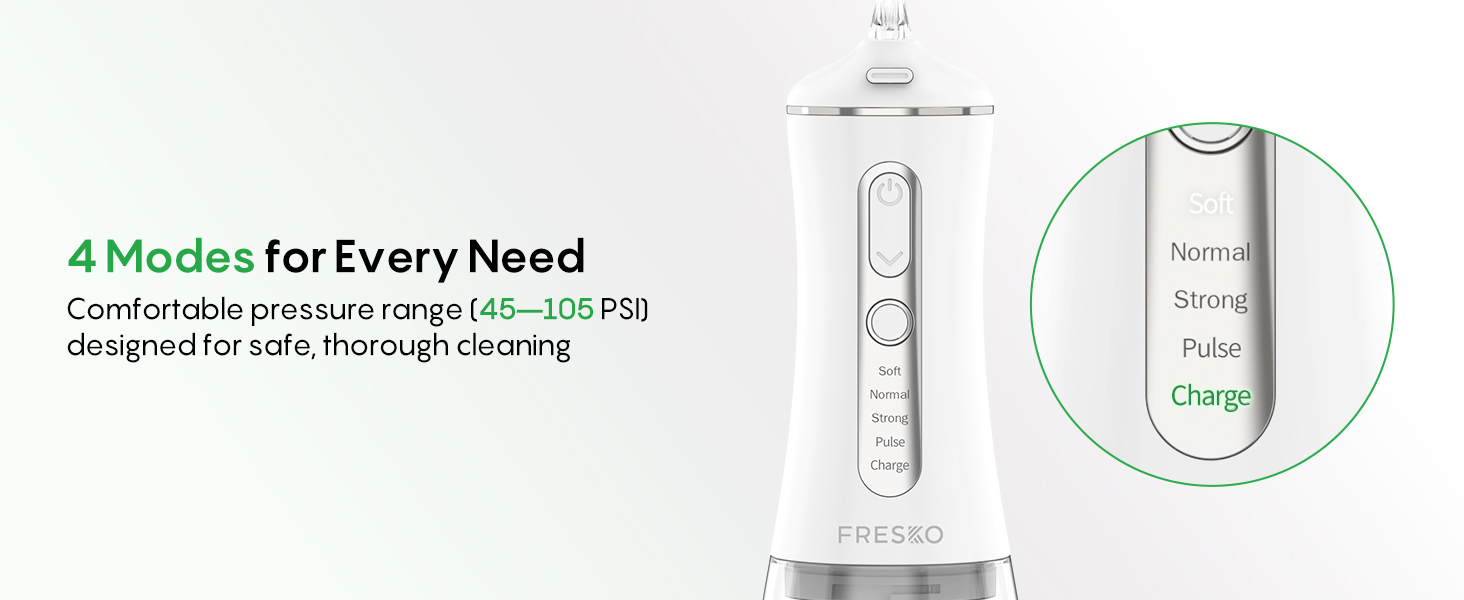 Water Dental Flosser
