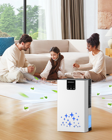 dehumidifier dehumidifiers for home dehumidifier for basement bathroom bedroom rv small dehumifier