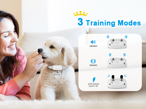 3 Training Modes