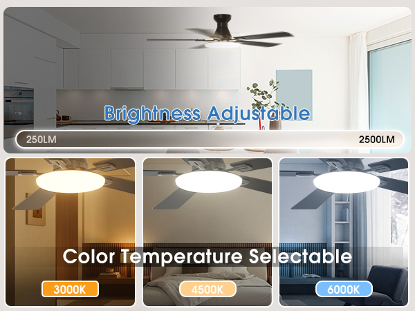 Ceiling fans with customizable light