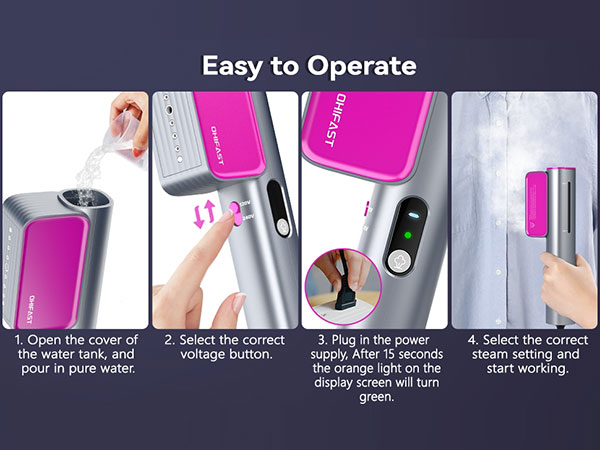 Steamer for Global Travel and Home