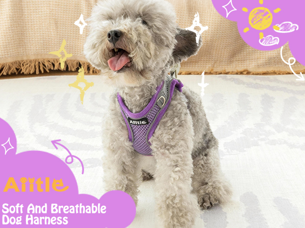 AIITLE No Pull Dog Harness and Leash Set