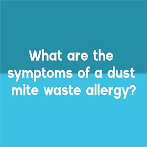 Dust Mite Waste Allergy Image
