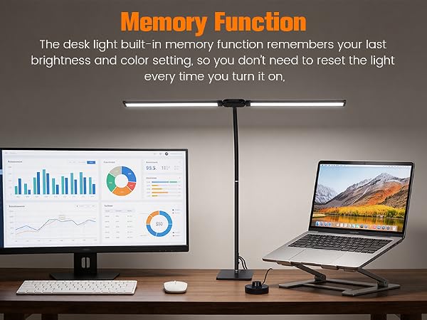 LED Desk Lamp with Base, Double Head Smart Desk Light with Controller Table Lamp for Home Office