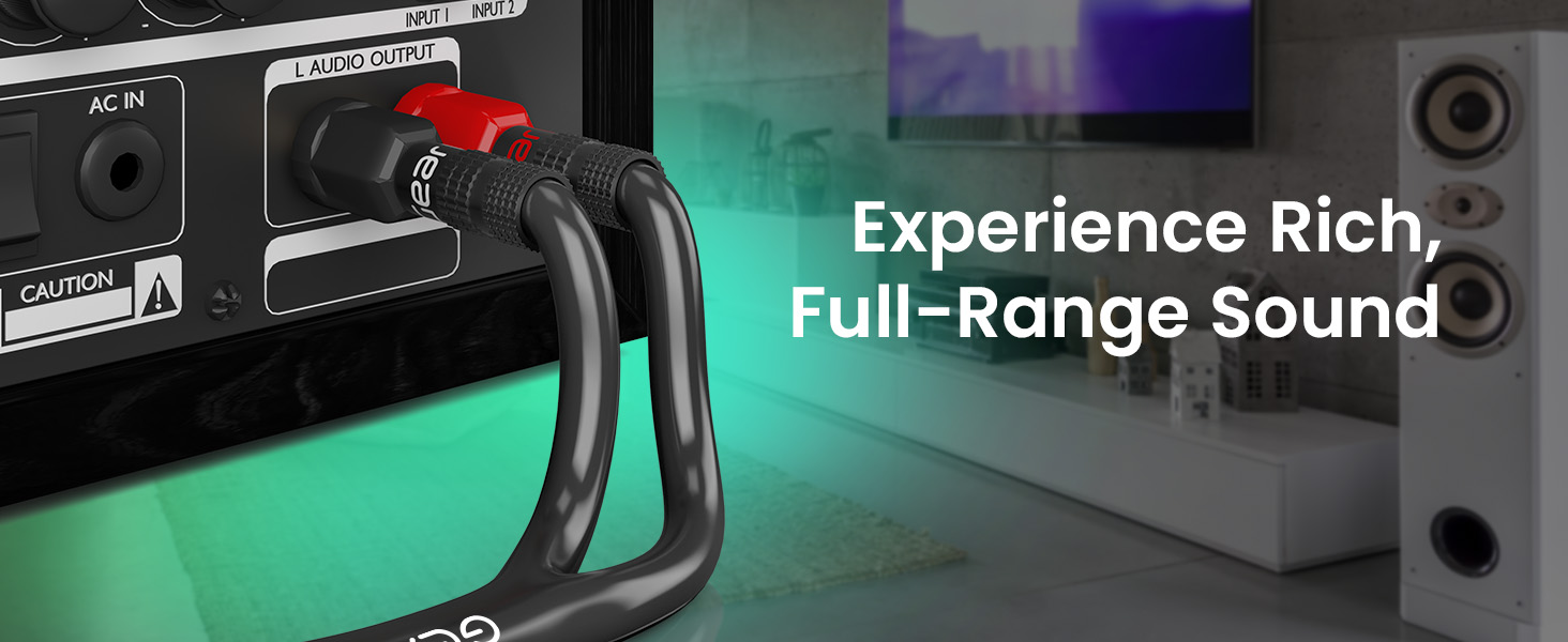 Experience Rich, Full-Range Sound