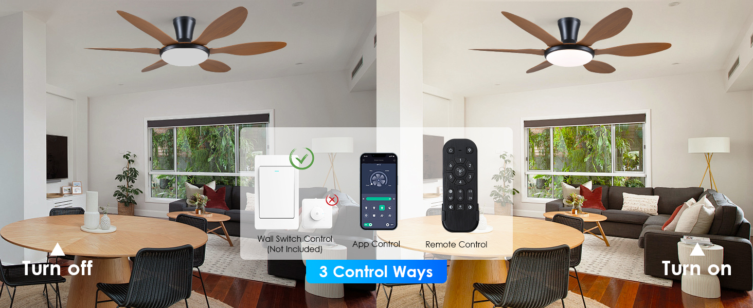 fan with light ceiling with remote
