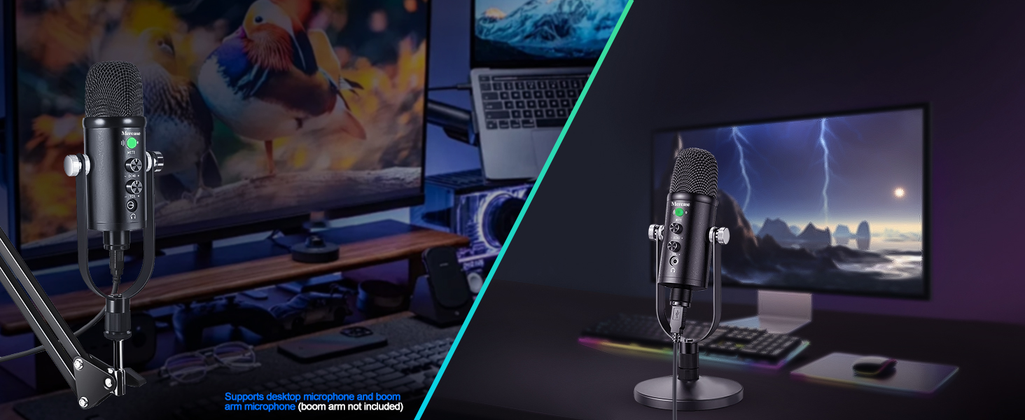 condenser microphone