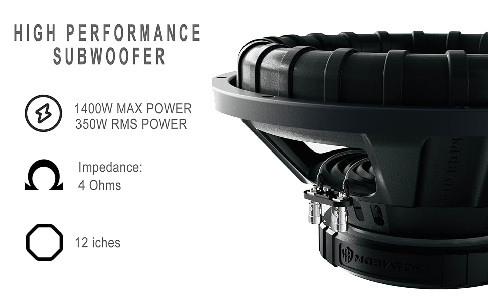 12 subwoofer