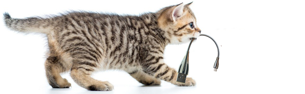 cat dog jacket tpe woven ultra slim aramid fiber small connector safe pc windows apple laptop note 3