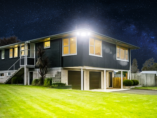 LED flood light garden