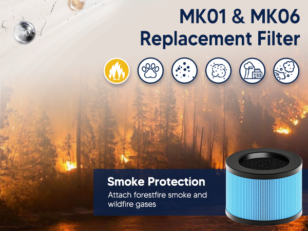 MK01 &amp; MK06 True HEPA Filter