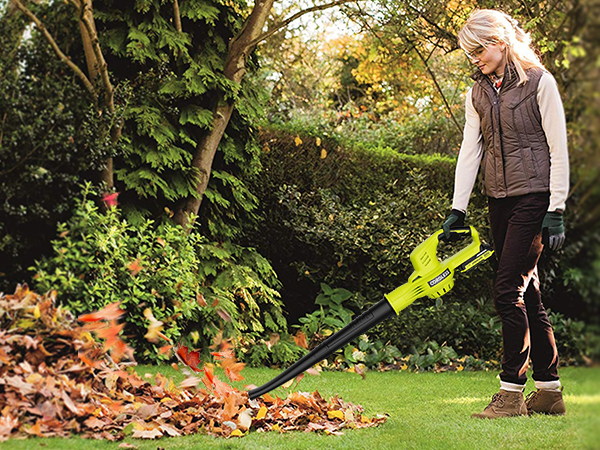 Leaf Blower with 2 Batteries and Charger