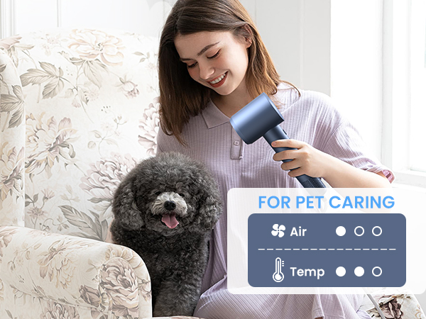 hair dryer blow dryer travel hair dryer hair dryer with diffuser