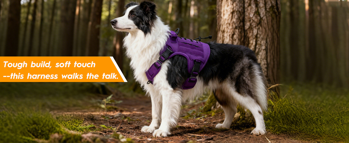 Easy-clean harness with nylon material, quick-dry design and anti-odor feature for long-lasting use.