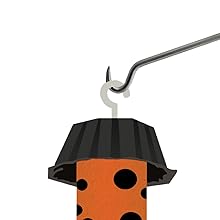 jumbo flies catcher