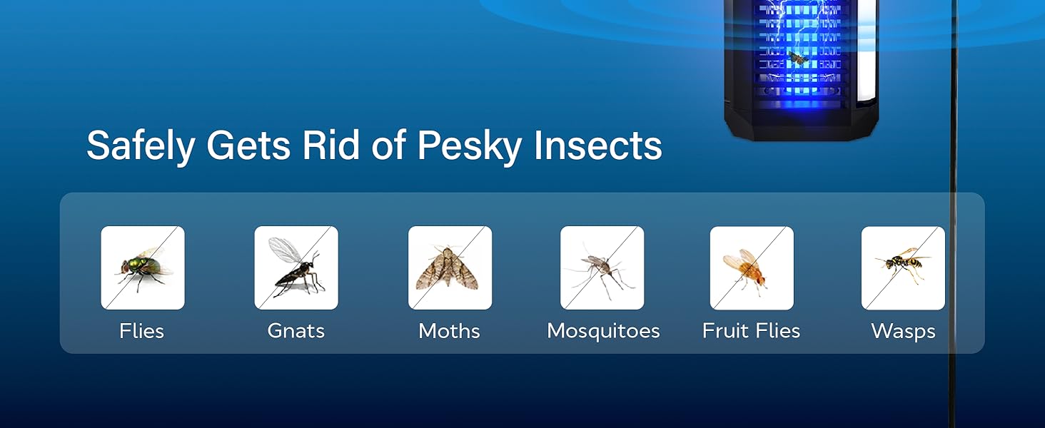 safely gets rid of pesky insects
