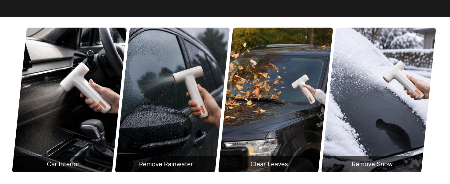 Car Clean