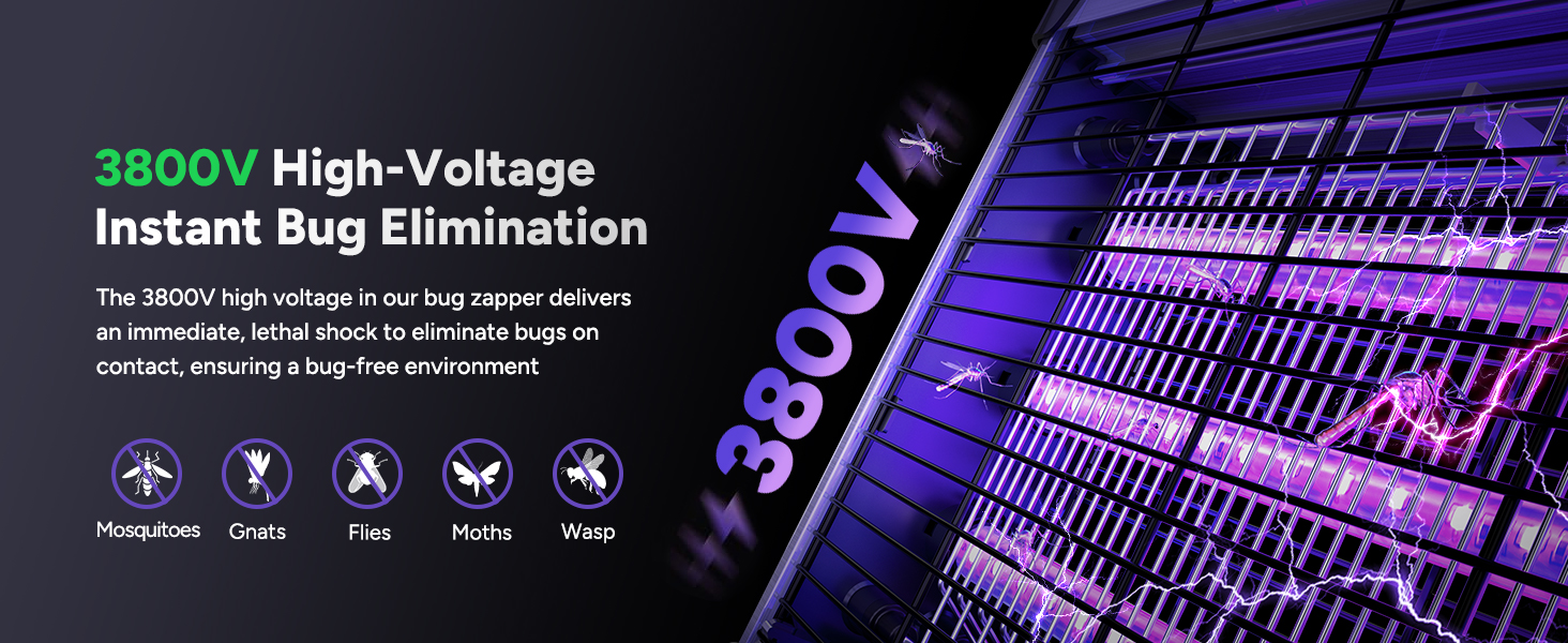 3800V High-Voltage Instant Bug Elimination