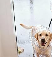 COSY HOMEER-Door-Mat 32"x48" Non Slip Absorbent Entryway Rugs Dirt Trapper Doormats Washable Entr...