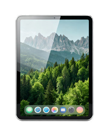 https://m.media-amazon.com/images/S/aplus-media-library-service-media/26060221-d885-4a8e-bb31-552c11e959fc.__CR0,0,362,453_PT0_SX362_V1___.jpg