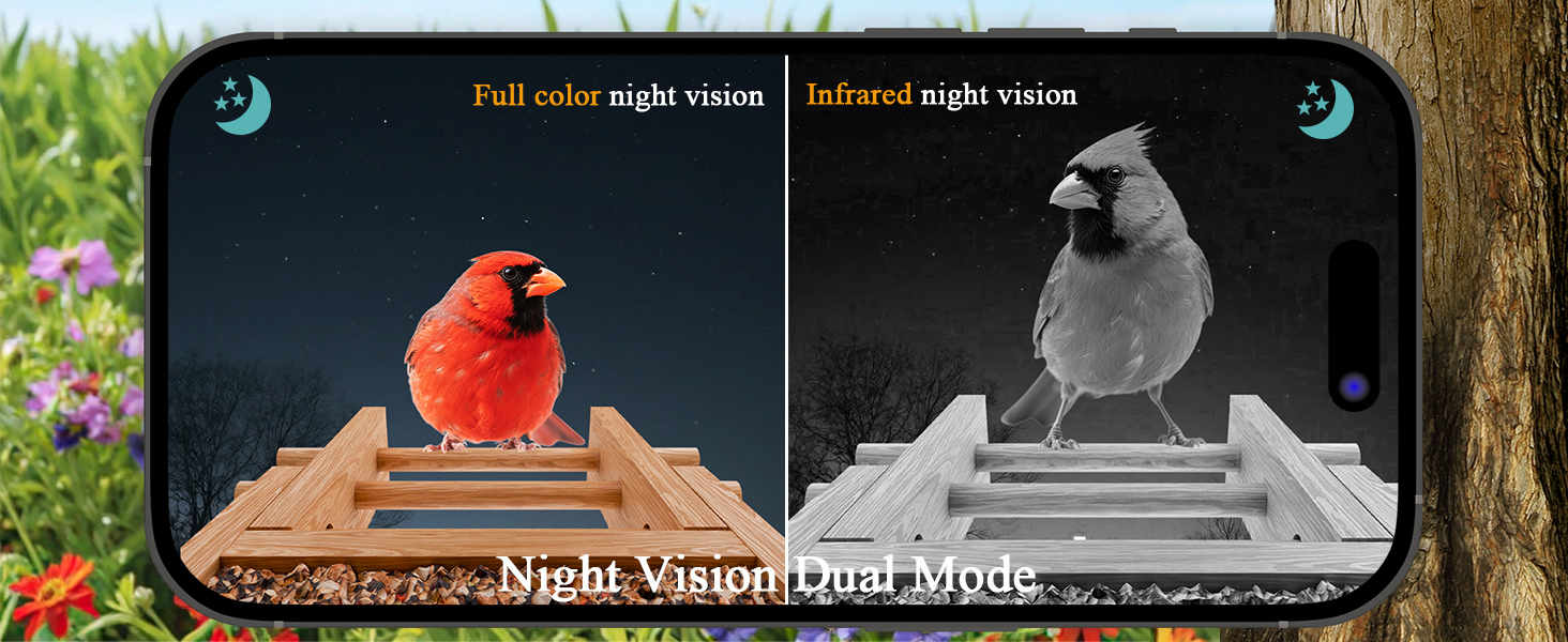 full color night vision birdhouse