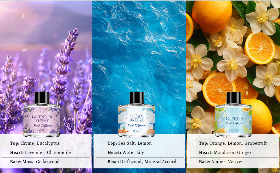 Essential Oil Reed Diffusers