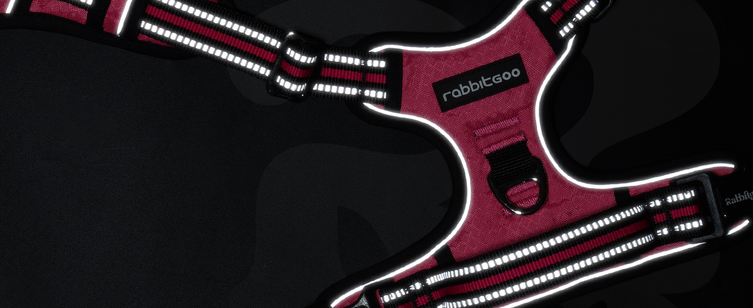 dog harness