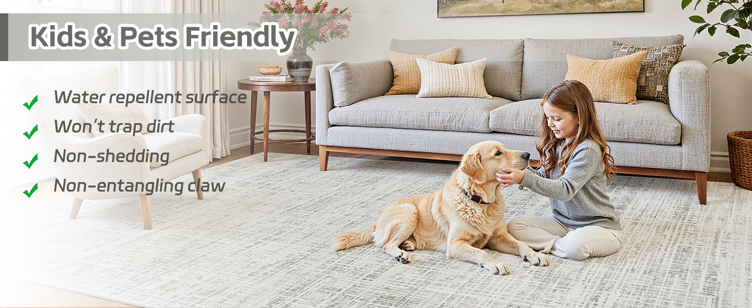 Area Rugs Washable Rug