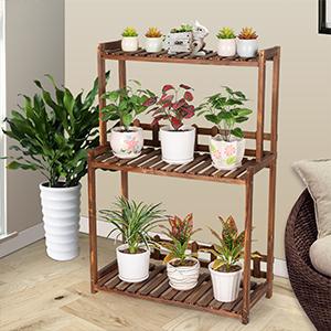 ladder plant shelf for multiple plants