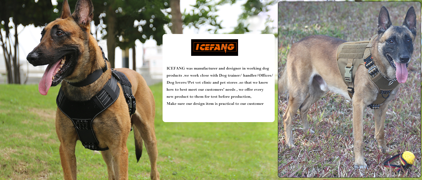 icefang dog harness