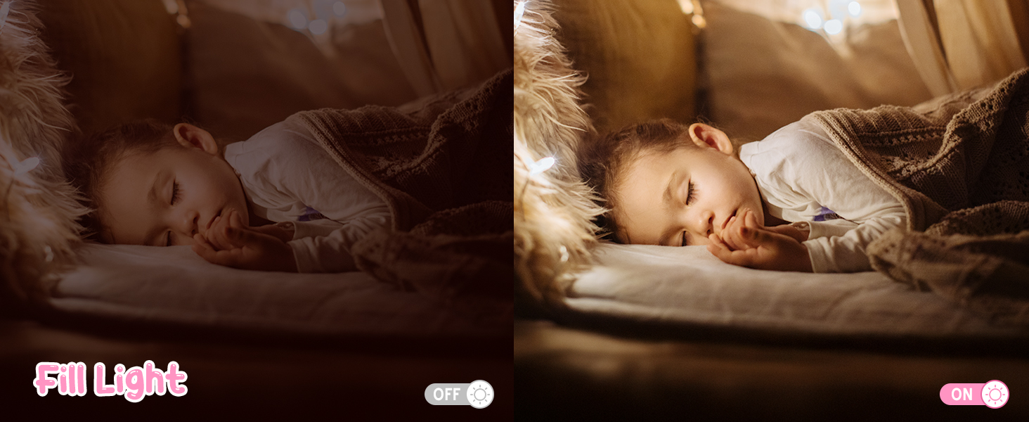 portable digital camera