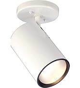 NUVO SF76/418 One Light Close-to-Ceiling Flush Mount, White