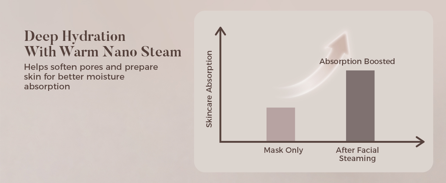 facial steamer professional