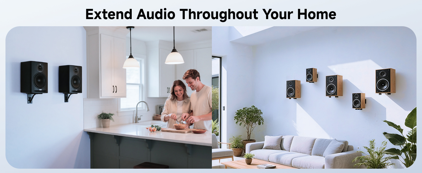 Speaker wire wall plate with banana plug binding posts for AV setups