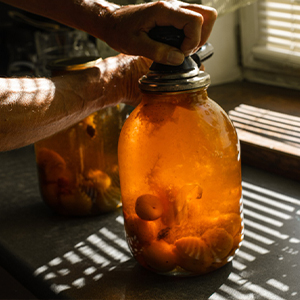 fermentation