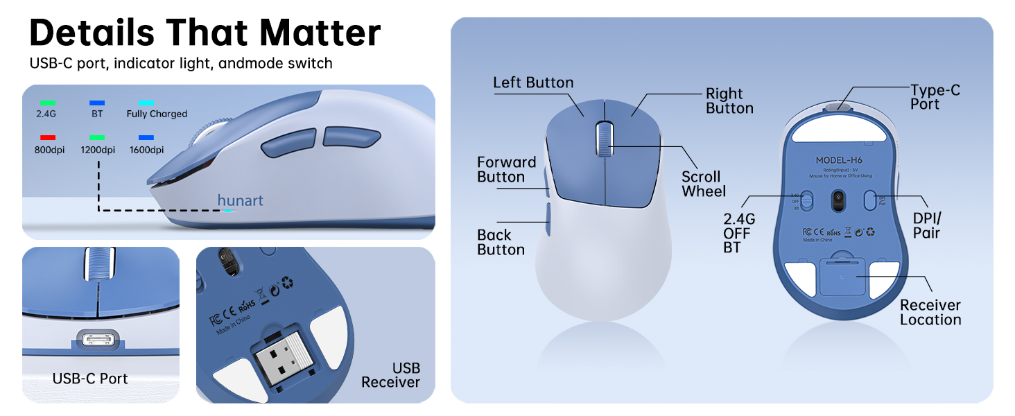 H6 mouse